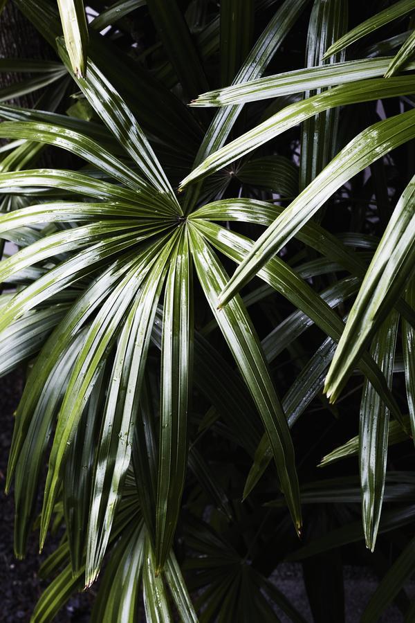 The Villas Of Byron Byron Bay Esterno foto